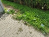 IMG_20210902_093940