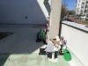 IMG_20200411_113144