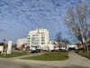 IMG_8790