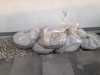 IMG-20240117-WA0005